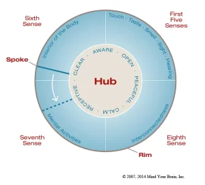 Dr. Dan Siegel Wheel of Awareness